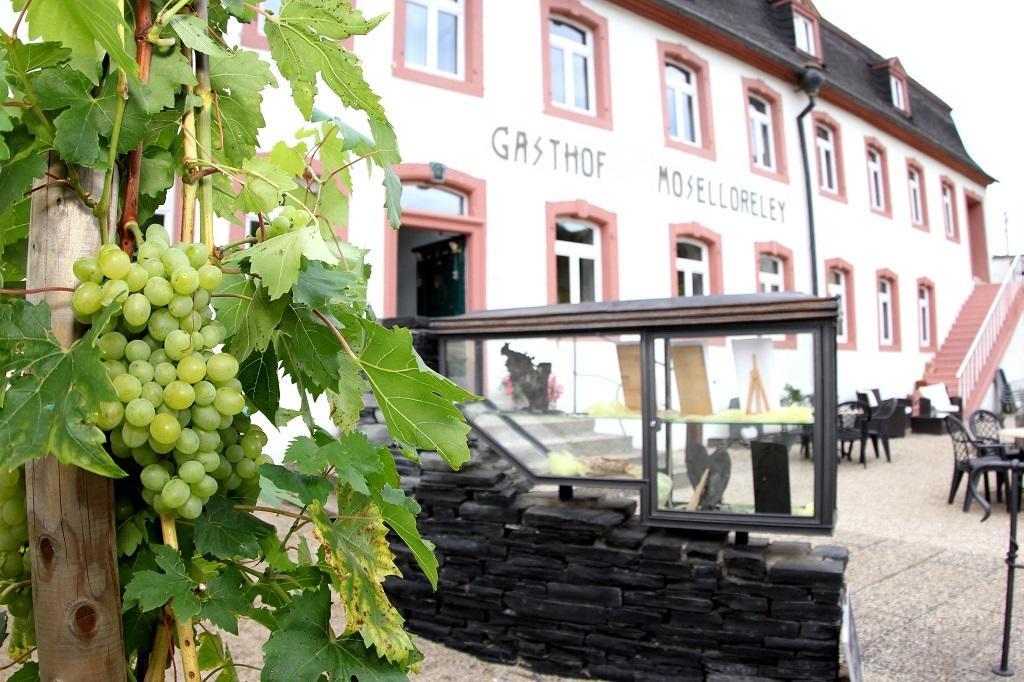 Hotel- Weingut- Moselloreley พิสพอร์ต ภายนอก รูปภาพ
